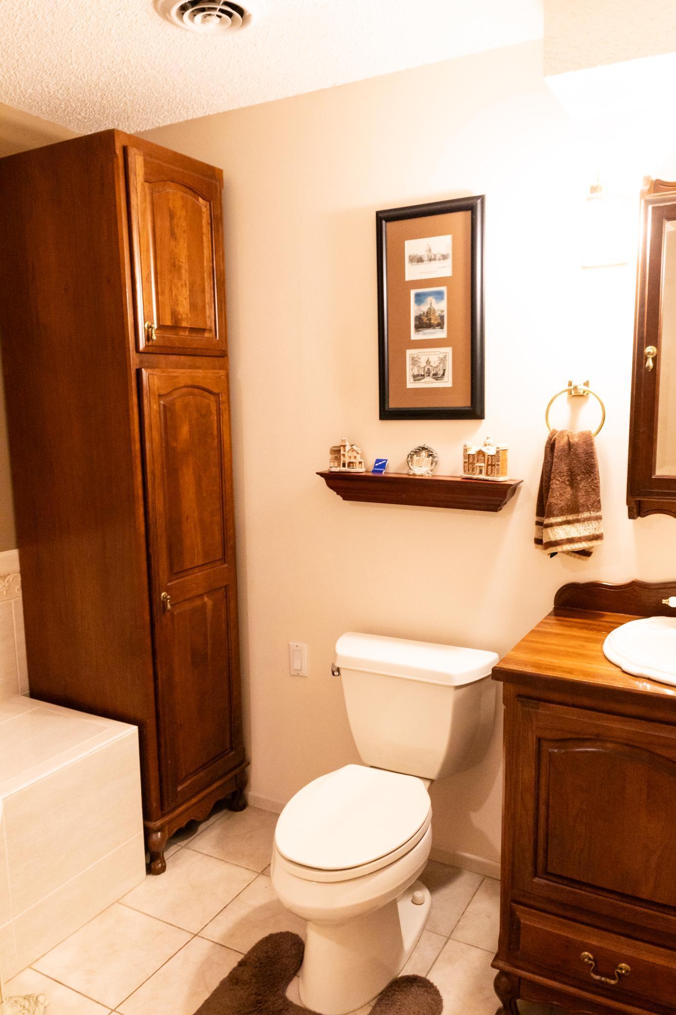 1194 Villa Court, Hastings, Minnesota image 36