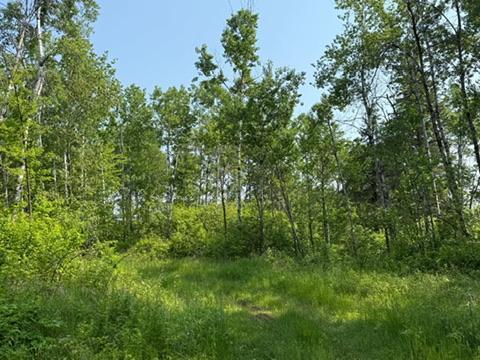TBD County Road T, Dairyland, Wisconsin image 3