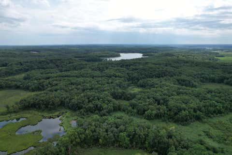 Vacant Land For Sale - TBD 335th Avenue<br/> Cushing, MN 56443