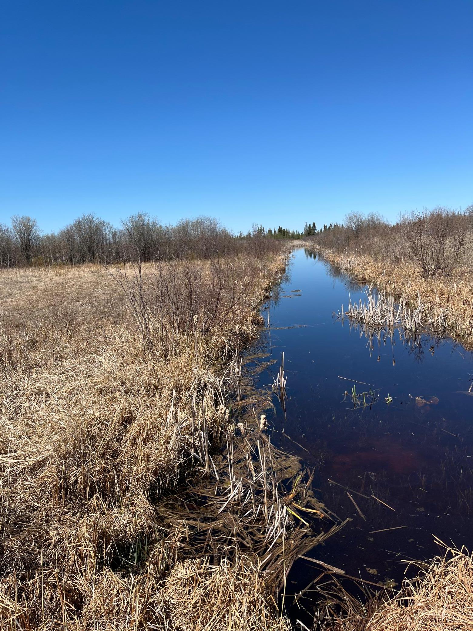 TBD Tbd 39th Street, Baudette, Minnesota image 31