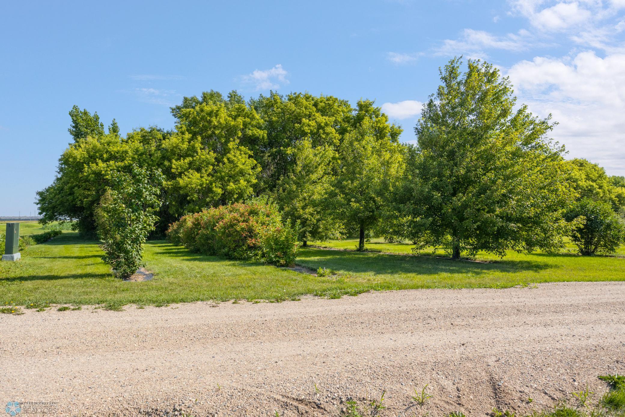 9730 177th Avenue, Fairmount, North Dakota image 25