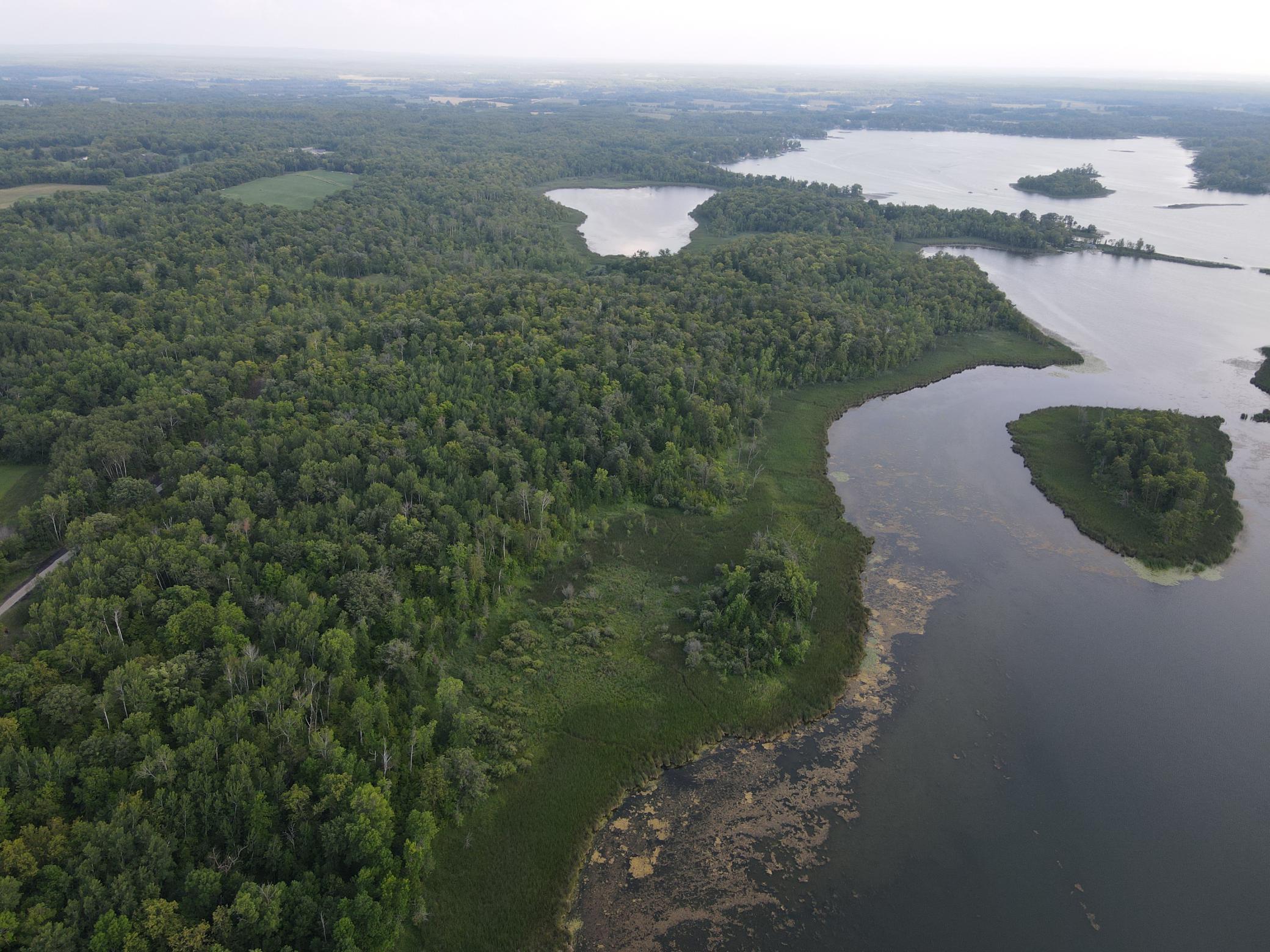 TBD Lot 11 300th Avenue, Lengby, Minnesota image 6