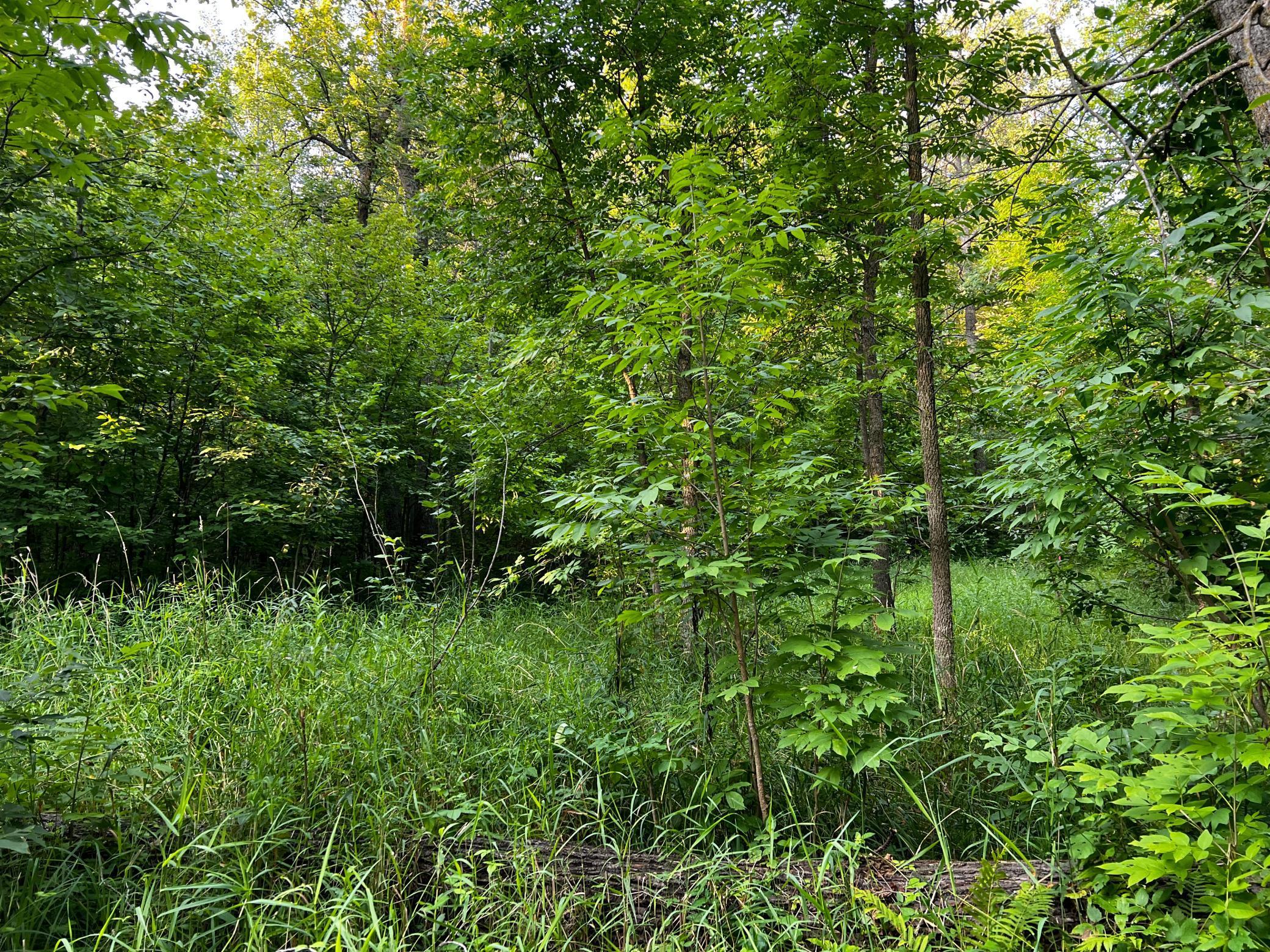 TBD Lot 11 300th Avenue, Lengby, Minnesota image 19