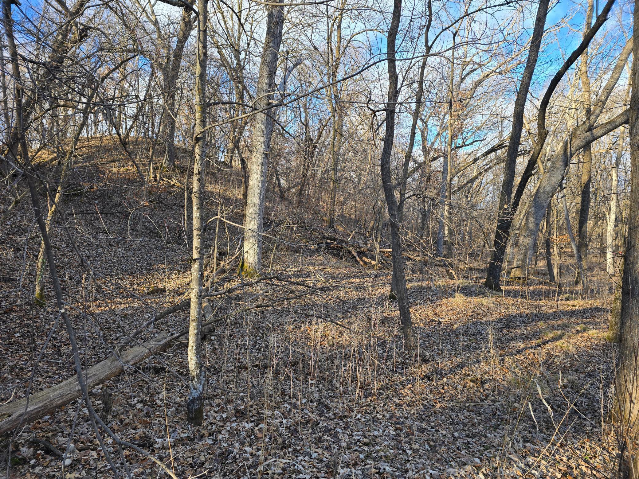 2223 124th Street, New Richmond, Wisconsin image 35