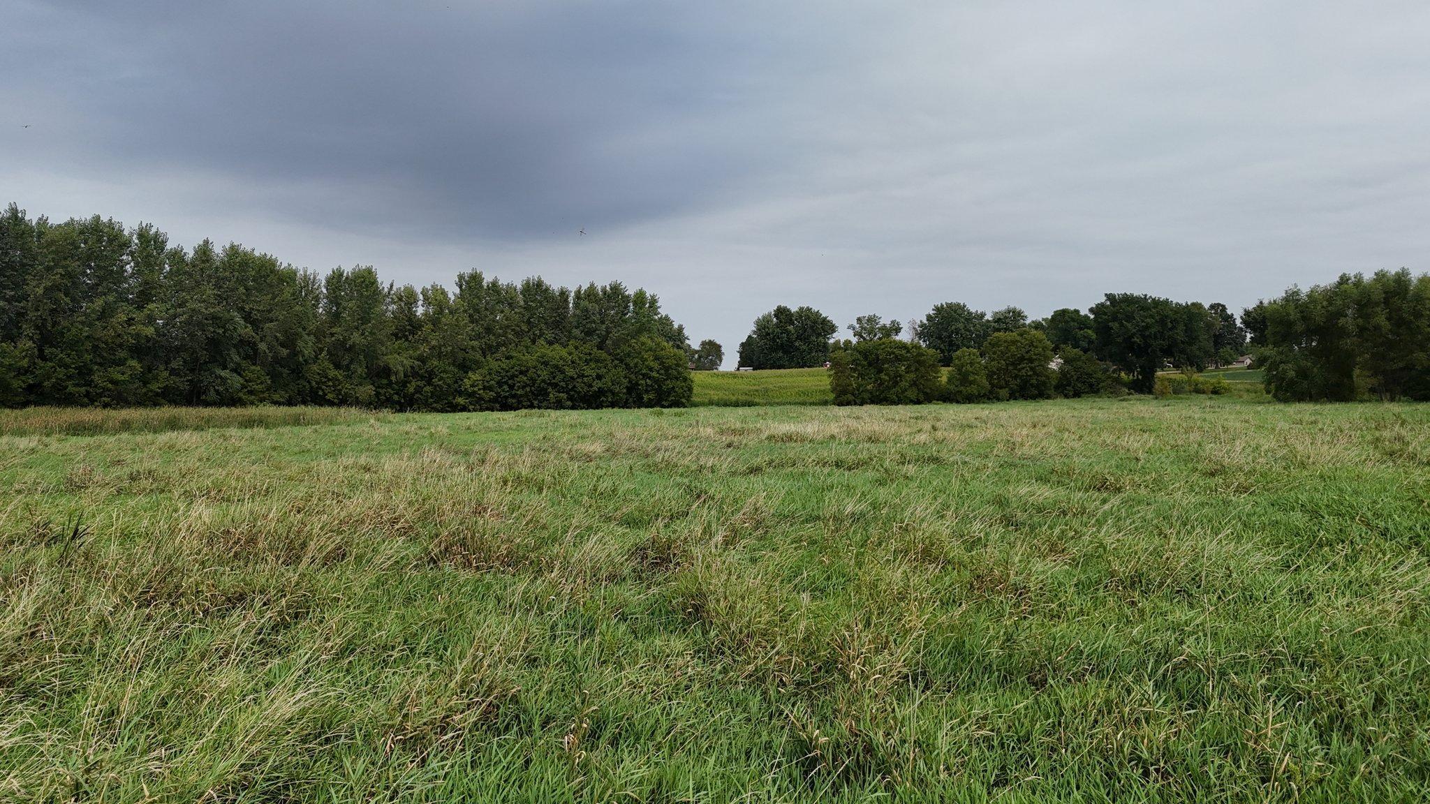Xxx Greer Ave Nw, Maple Lake, Minnesota image 4