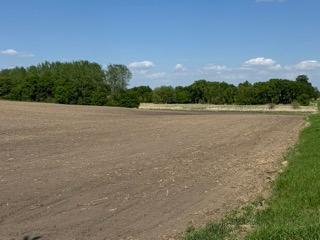 Xxx Greer Ave Nw, Maple Lake, Minnesota image 22
