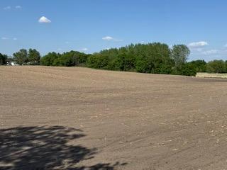 Xxx Greer Ave Nw, Maple Lake, Minnesota image 21
