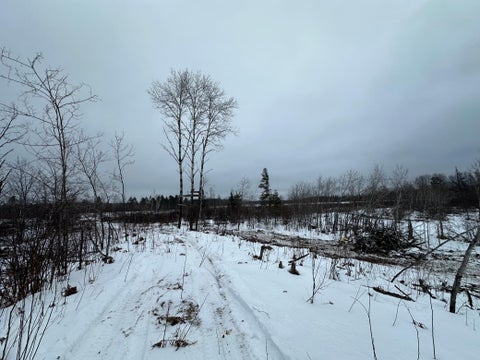 Vacant Land For Sale - TBD #2 Koecher Road<br/> Pine County, Kerrick, MN 55756