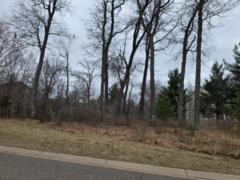 Vacant Land For Sale - L6B1 288th Avenue<br/> Zimmerman, MN 55398