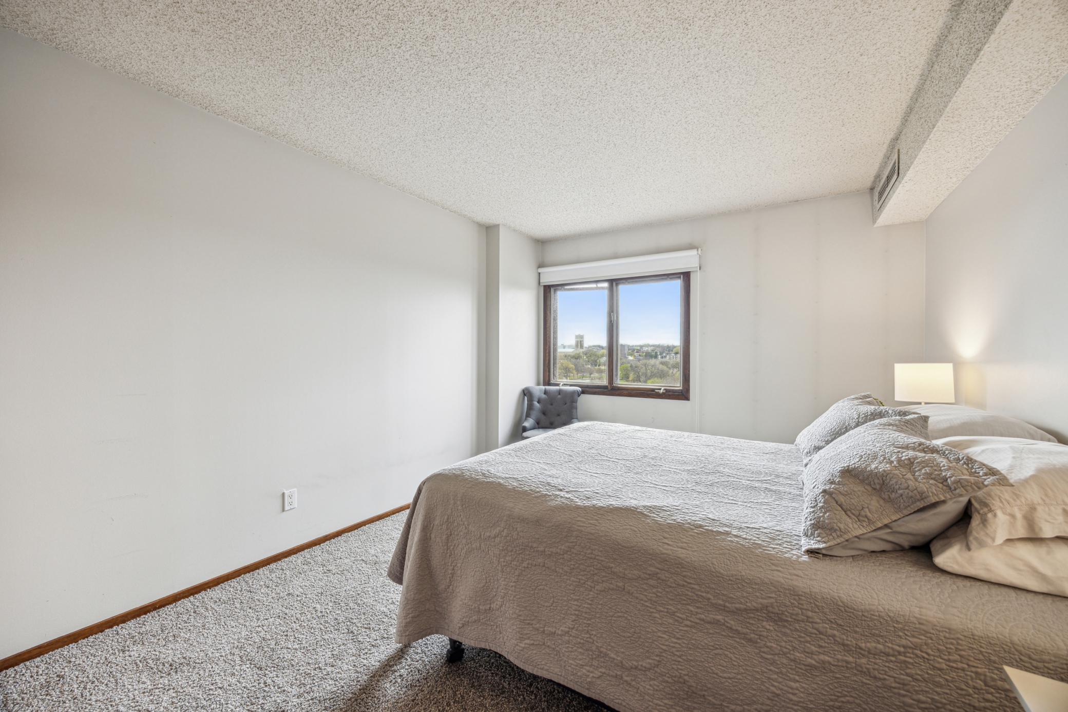 210 W Grant Street #710, Minneapolis, Minnesota image 11