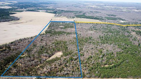 Vacant Land For Sale - Lake Rd<br/> Melrose, WI 54642