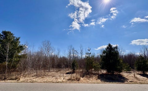 Vacant Land For Sale - 409 Partridge Lane<br/> Mille Lacs County, Foreston, MN 56330