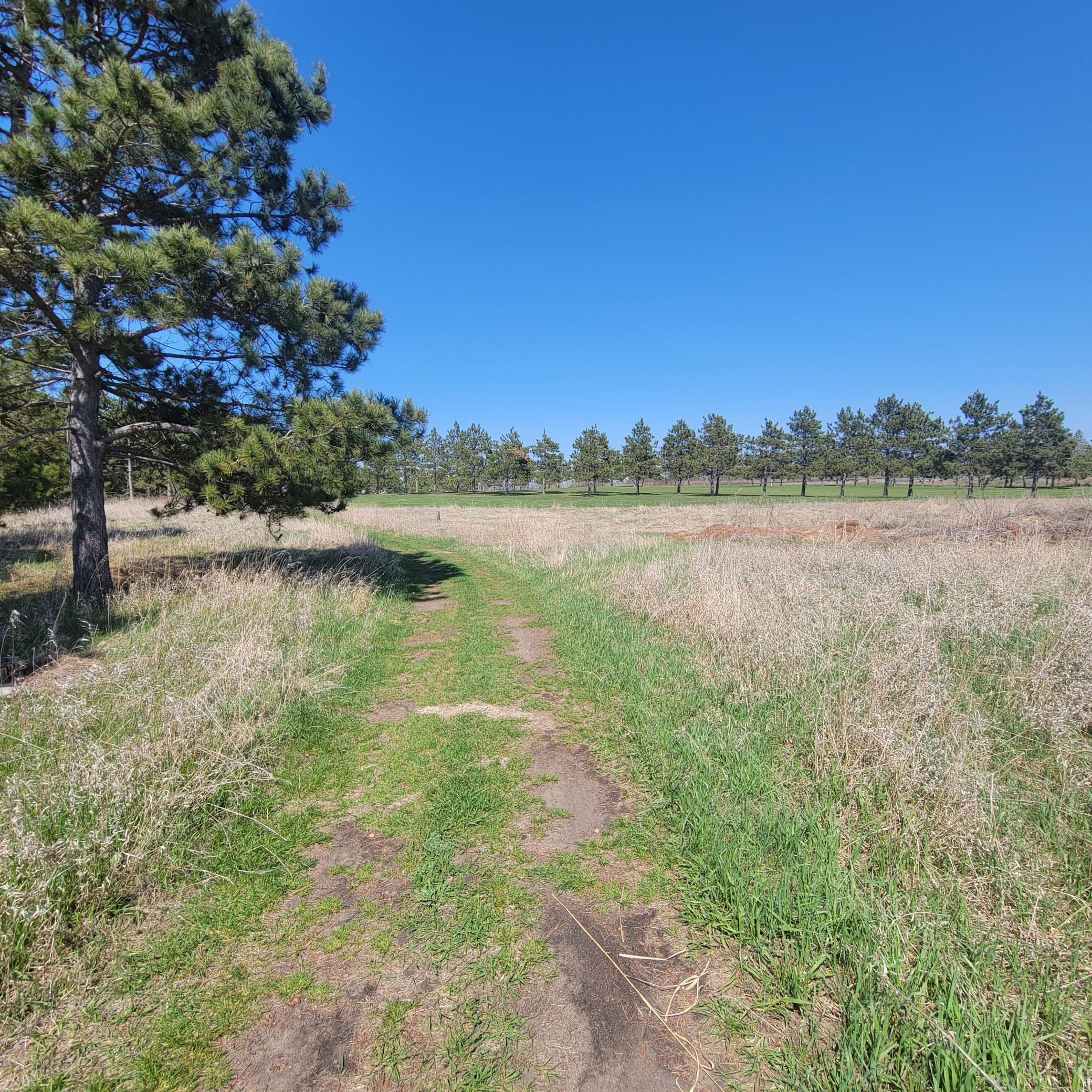 510 Thumper Lodge Road Rd, Ottertail, Minnesota image 3