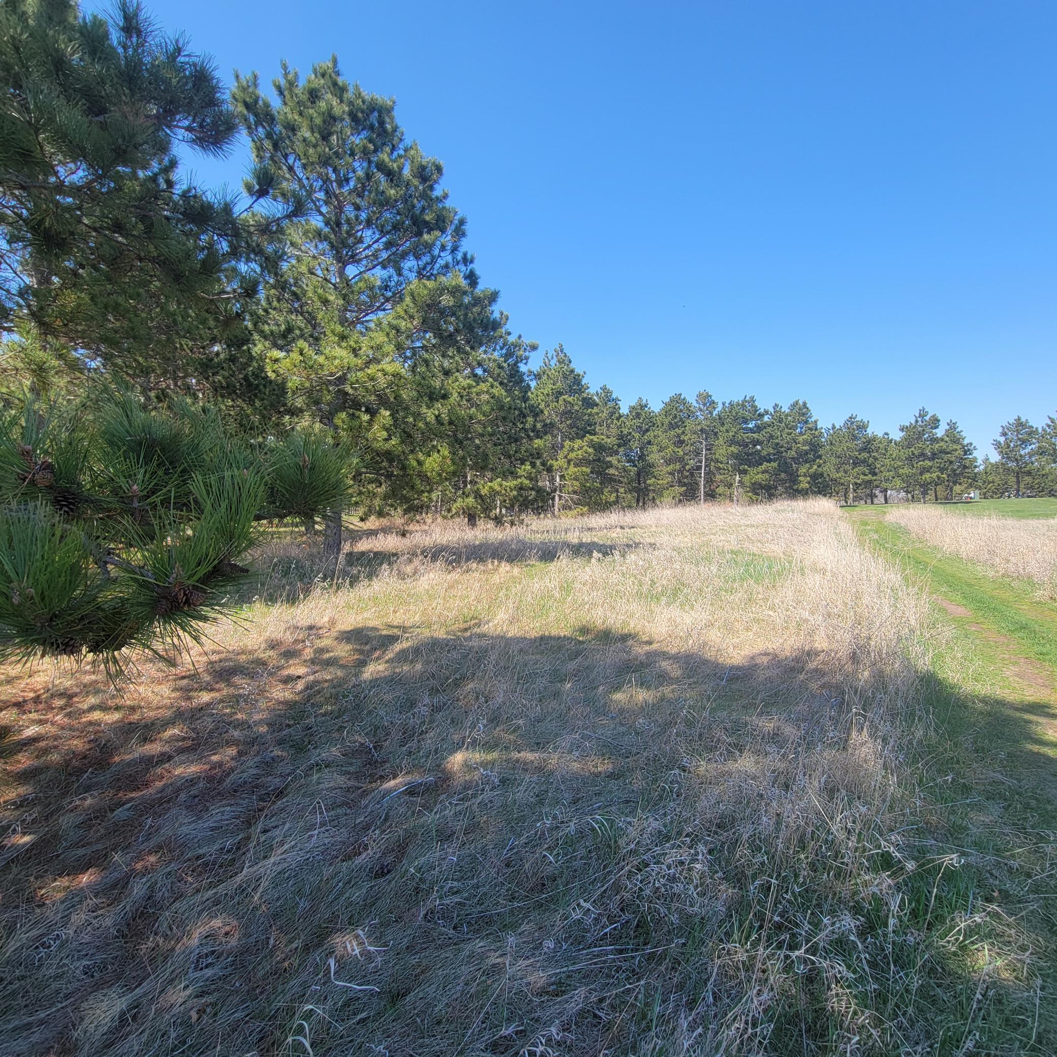 510 Thumper Lodge Road Rd, Ottertail, Minnesota image 4