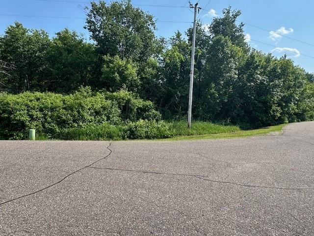 TBD 169th Avenue, Ham Lake, Minnesota image 2