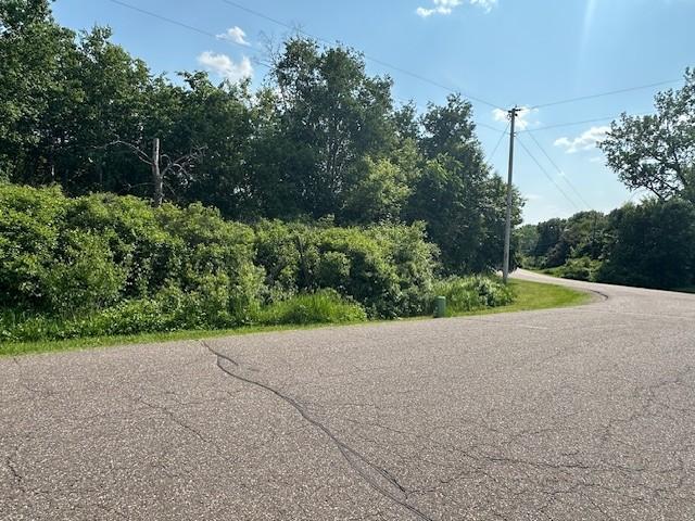 TBD 169th Avenue, Ham Lake, Minnesota image 3