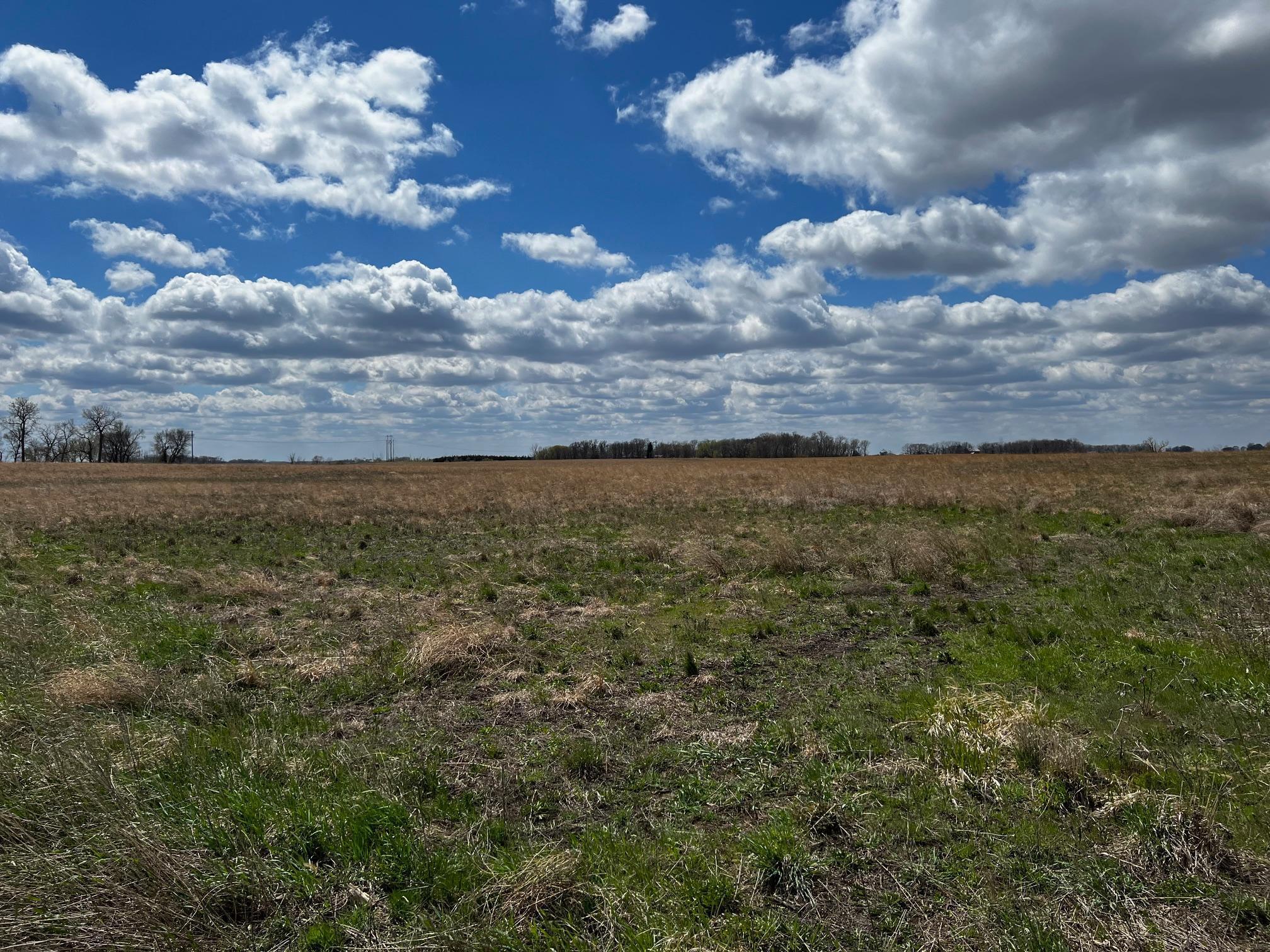 000 541st Avenue, Courtland, Minnesota image 3