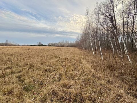 Vacant Land For Sale - TBD 50th Avenue<br/> Kanabec County, Ogilvie, MN 56358