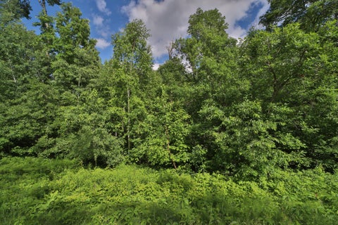 Vacant Land For Sale - TBD Percheron Drive<br/> Breezy Point, MN 56472