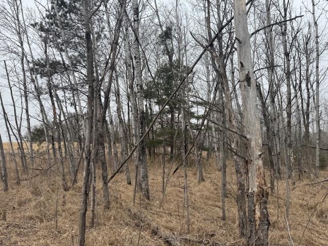 19xx Shoreview Circle, Mora, Minnesota image 6