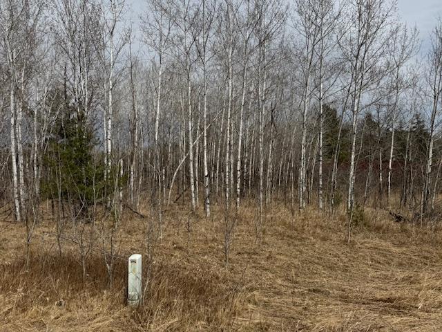 19xx Shoreview Circle, Mora, Minnesota image 14
