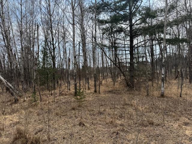 19xx Shoreview Circle, Mora, Minnesota image 8