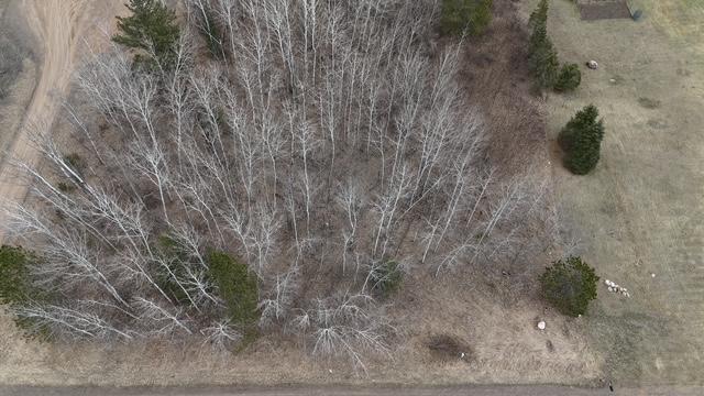 19xx Shoreview Circle, Mora, Minnesota image 2