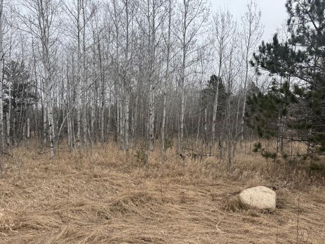 19xx Shoreview Circle, Mora, Minnesota image 8