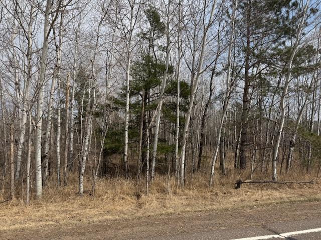 19xx Shoreview Circle, Mora, Minnesota image 13