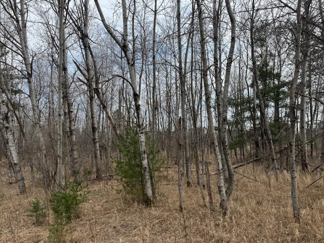 19xx Shoreview Circle, Mora, Minnesota image 6