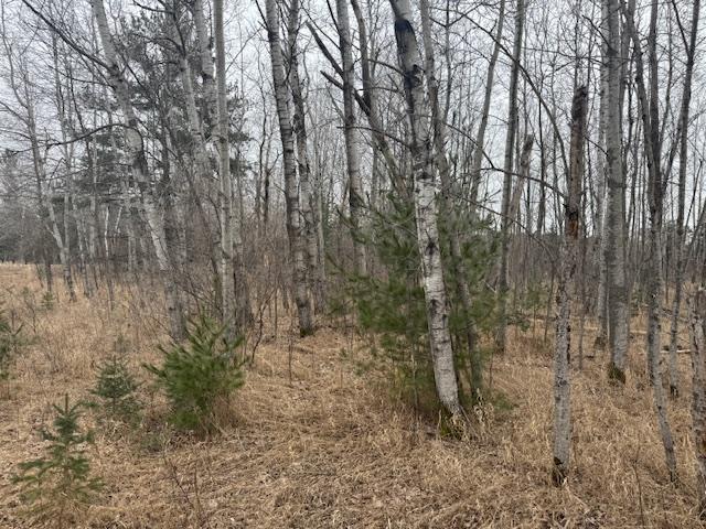 19xx Shoreview Circle, Mora, Minnesota image 4