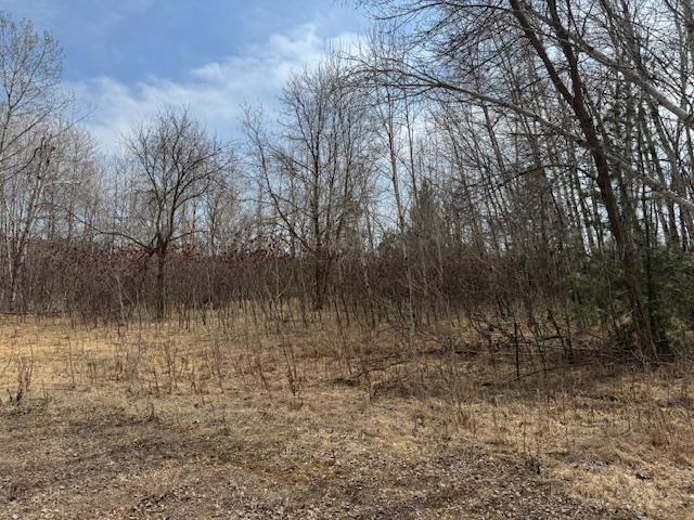 19xx Shoreview Circle, Mora, Minnesota image 9