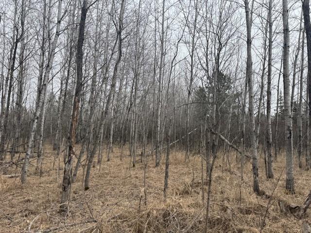 19xx Shoreview Circle, Mora, Minnesota image 5