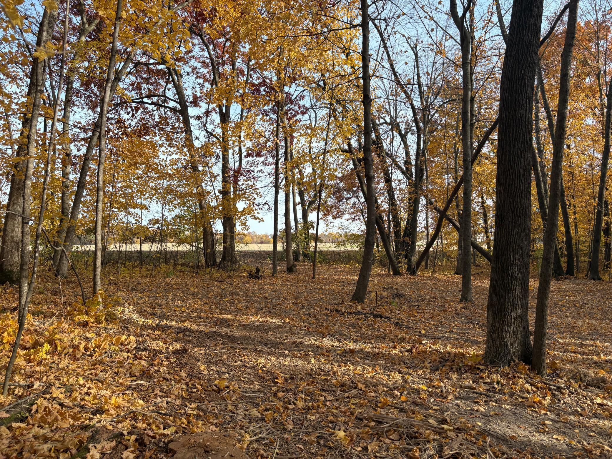 TBD 43rd Avenue Se, Stewartville, Minnesota image 34
