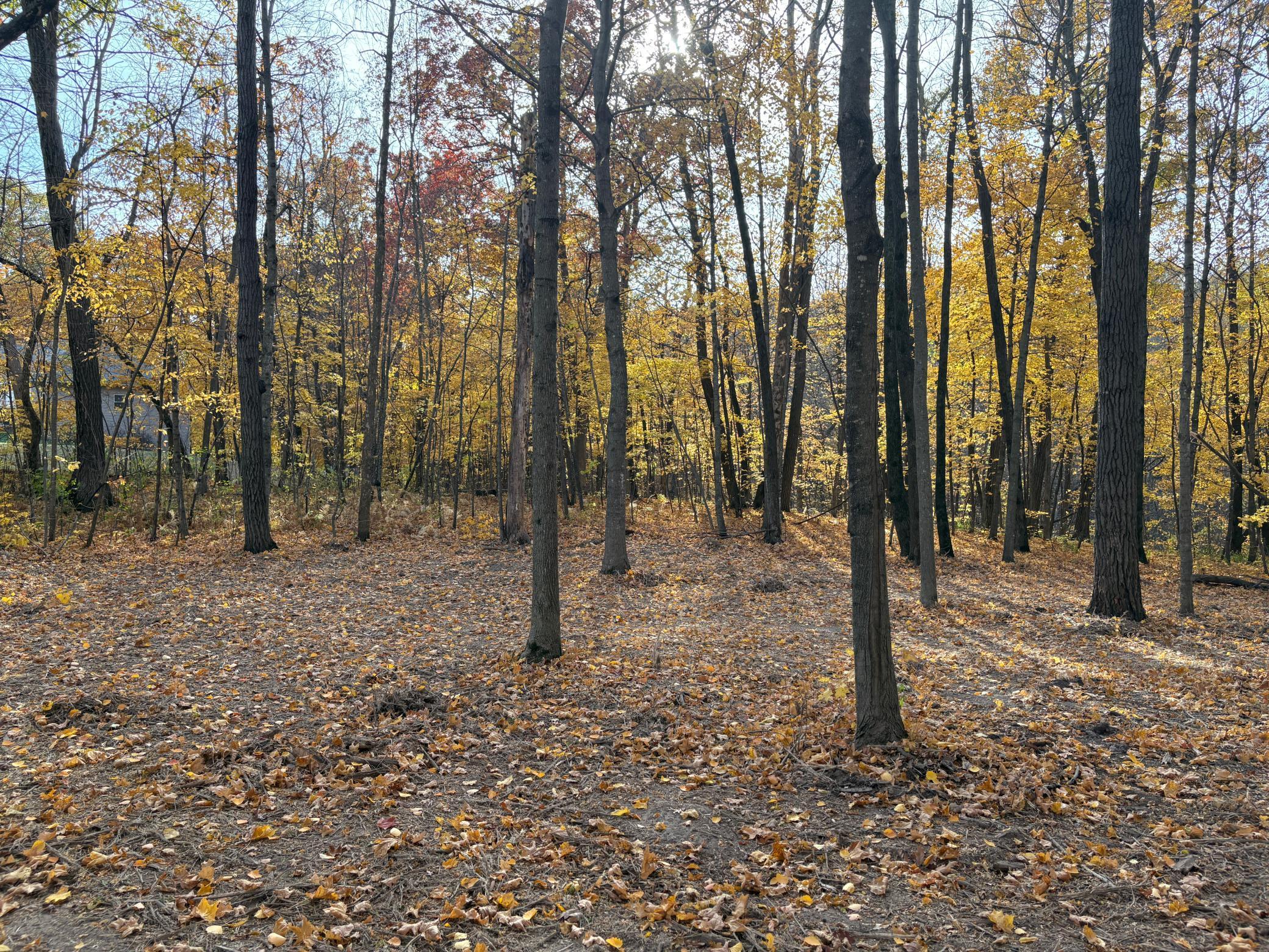 TBD 43rd Avenue Se, Stewartville, Minnesota image 37