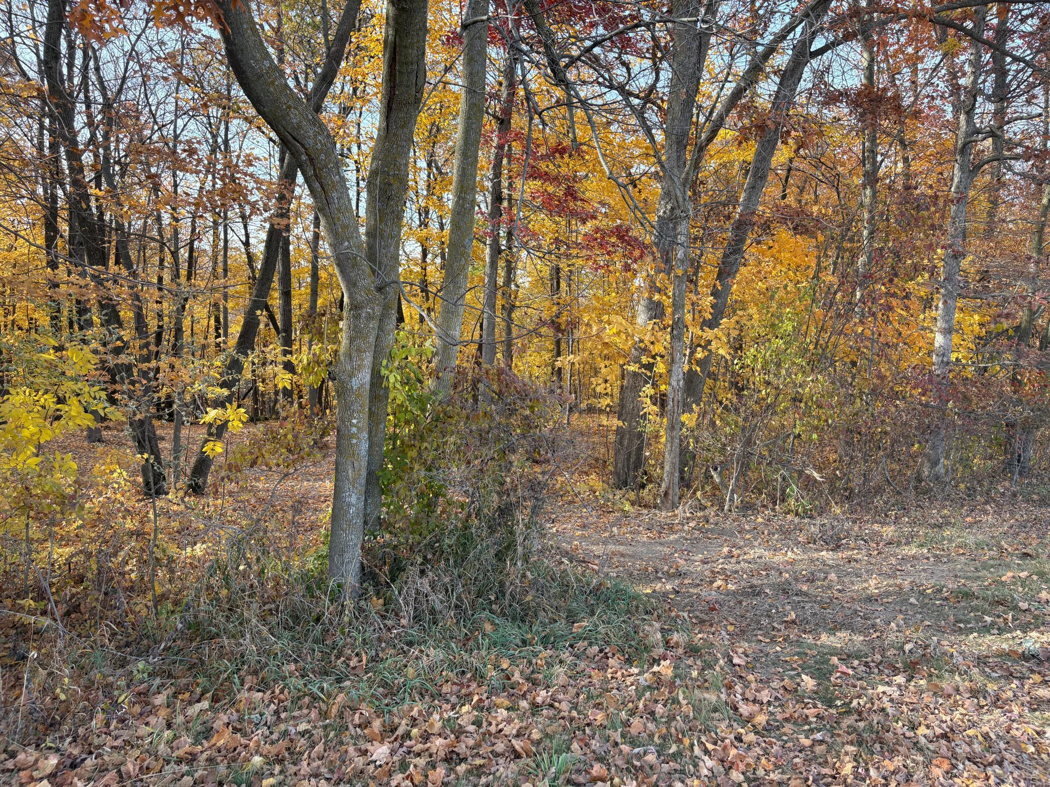 TBD 43rd Avenue Se, Stewartville, Minnesota image 38