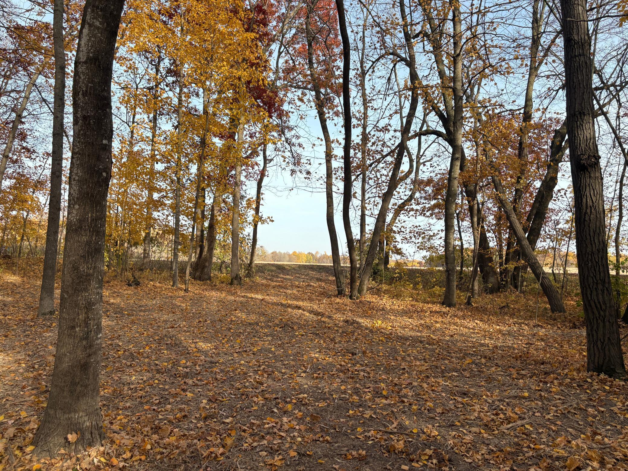 TBD 43rd Avenue Se, Stewartville, Minnesota image 25