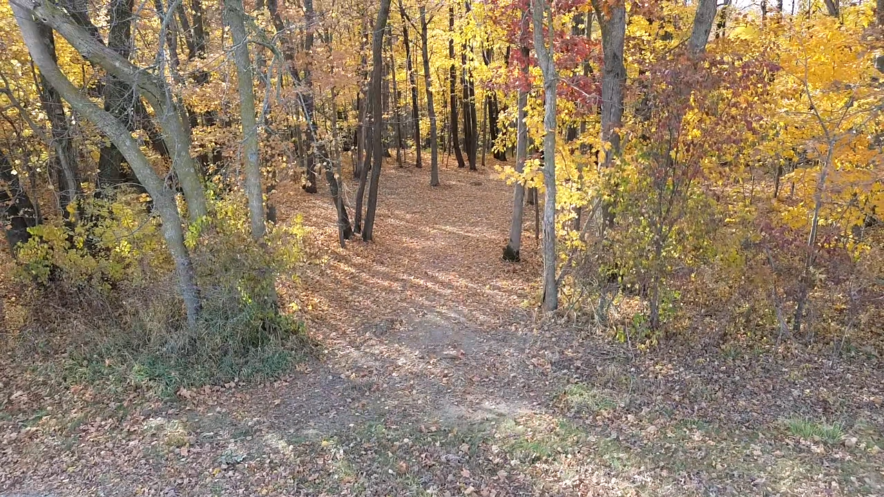 TBD 43rd Avenue Se, Stewartville, Minnesota image 9