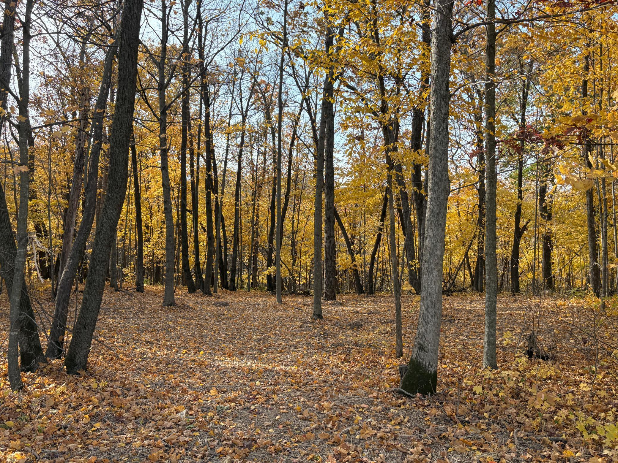 TBD 43rd Avenue Se, Stewartville, Minnesota image 21