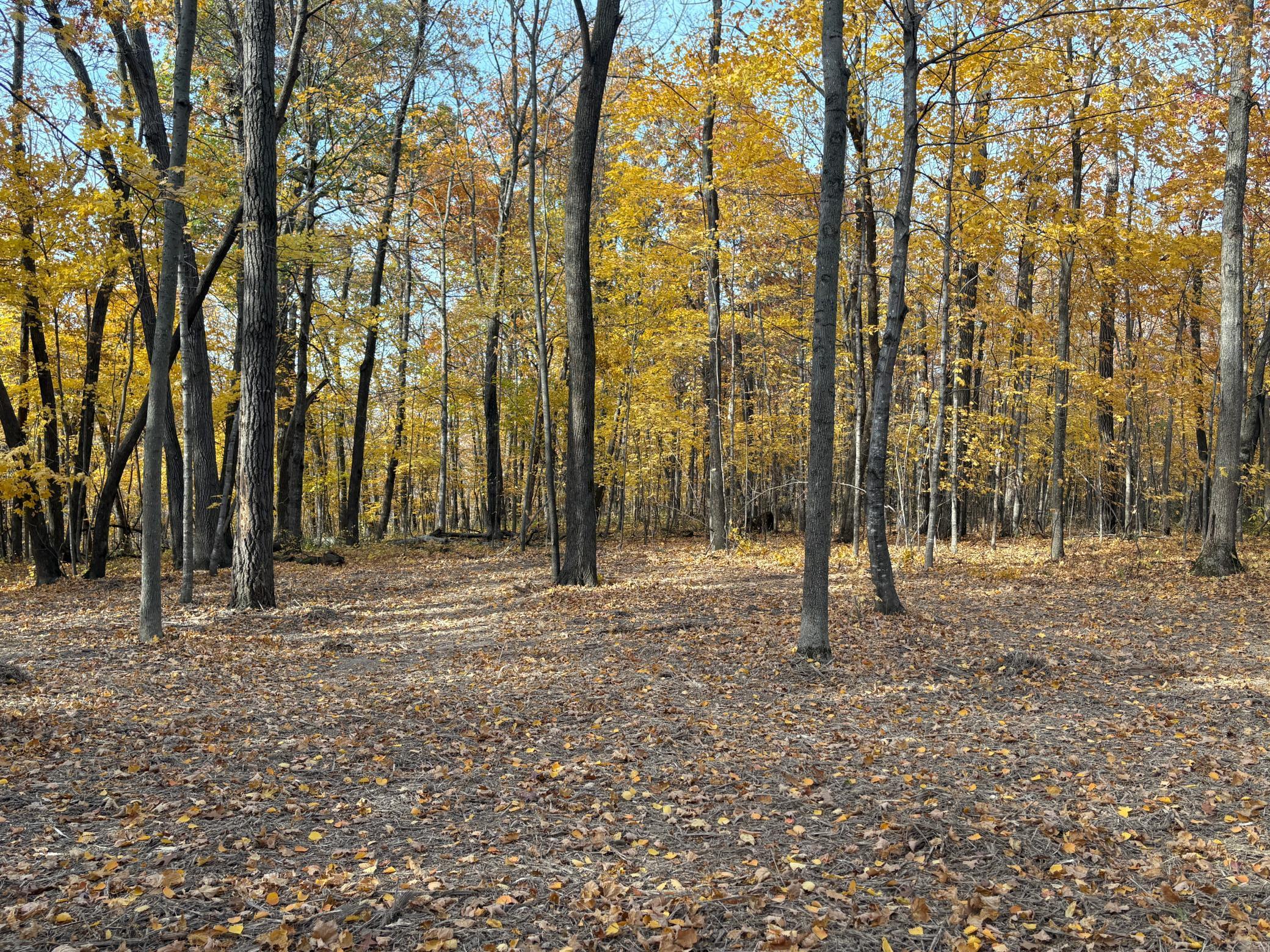 TBD 43rd Avenue Se, Stewartville, Minnesota image 22