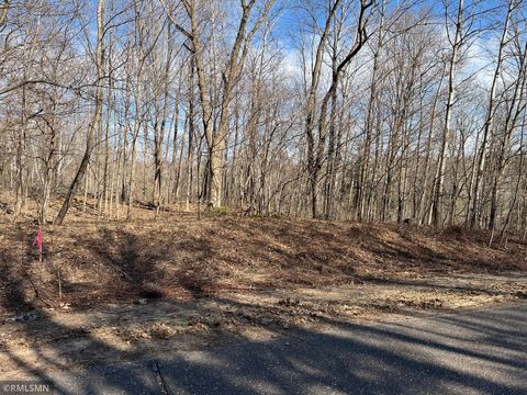 Vacant Land For Sale - LOT 1 Wilderness Hills Lane<br/> Polk County, Luck, WI 54853