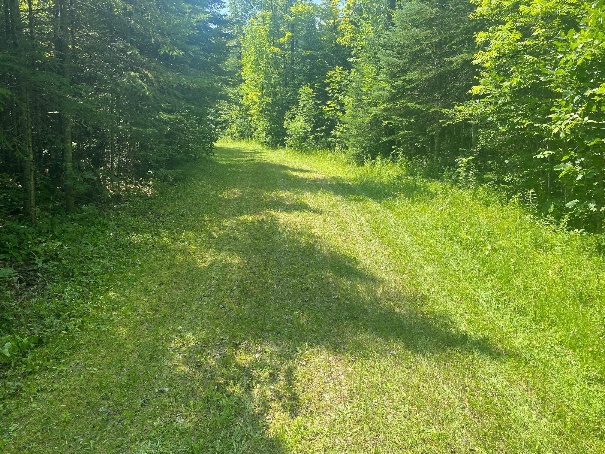 1170 Natures Trail Trl, Federal Dam, Minnesota image 12