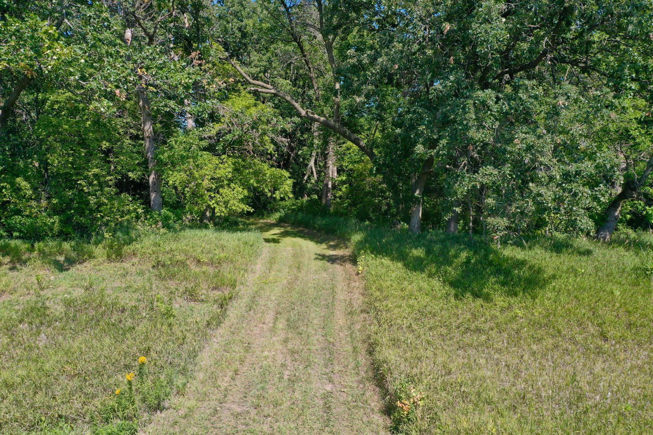 13638 183rd Street, Barrett, Minnesota image 14