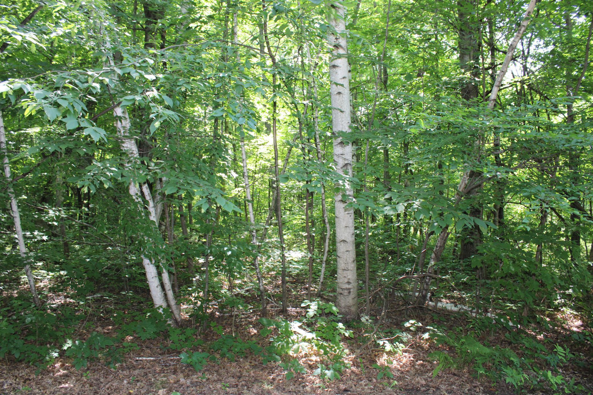 000 St Croix Trail, Taylors Falls, Minnesota image 10