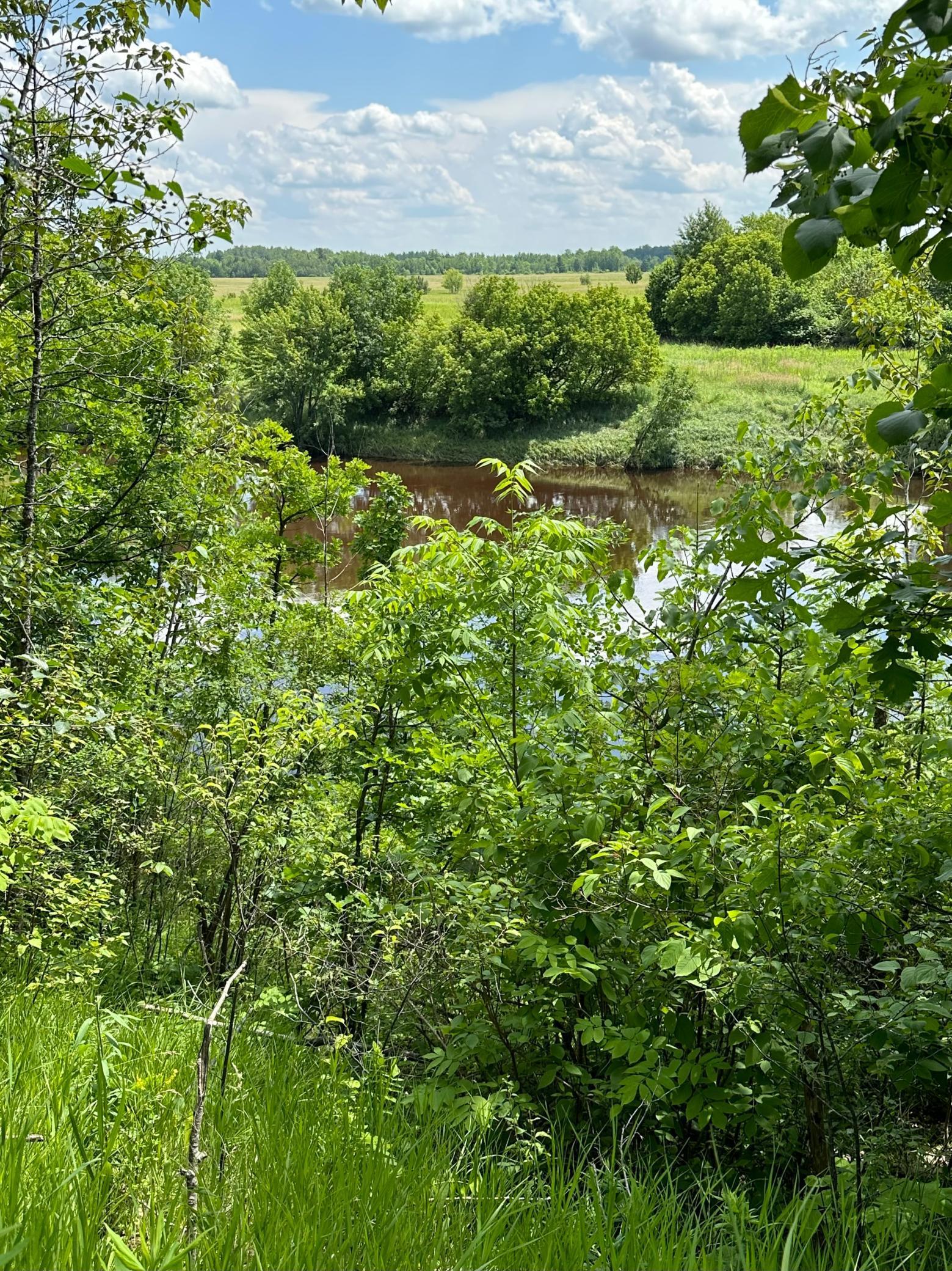 TBD Riverview Acres Road, Littlefork, Minnesota image 1