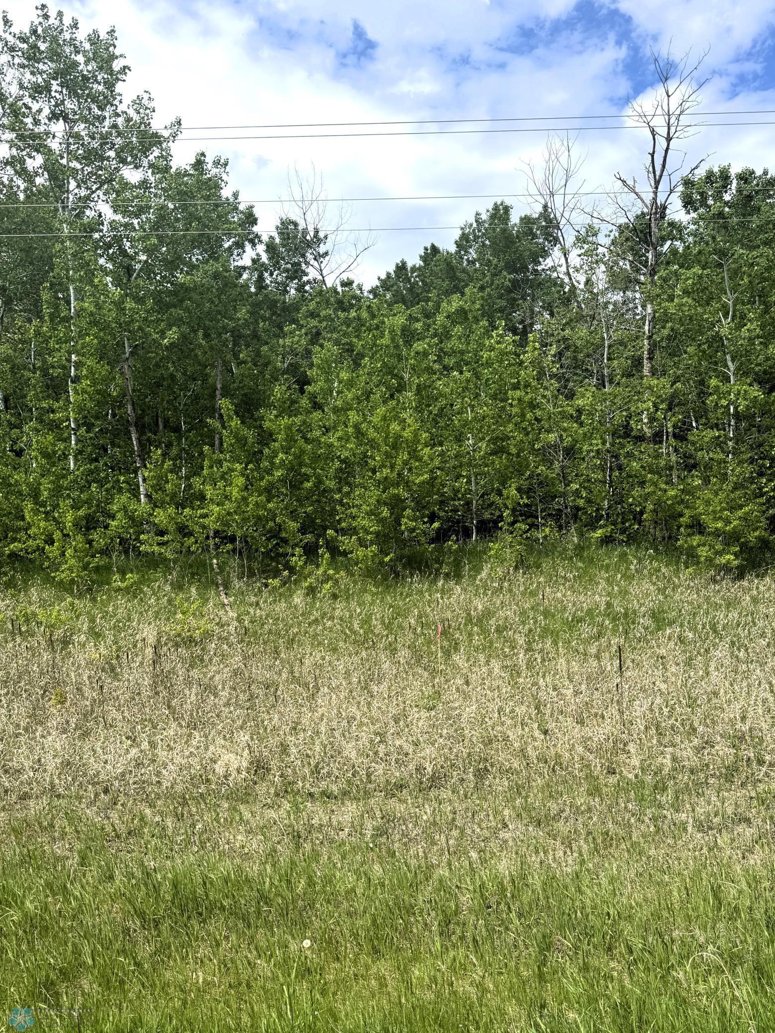 (Lot 4) TBD County Rd 4, Waubun, Minnesota image 2