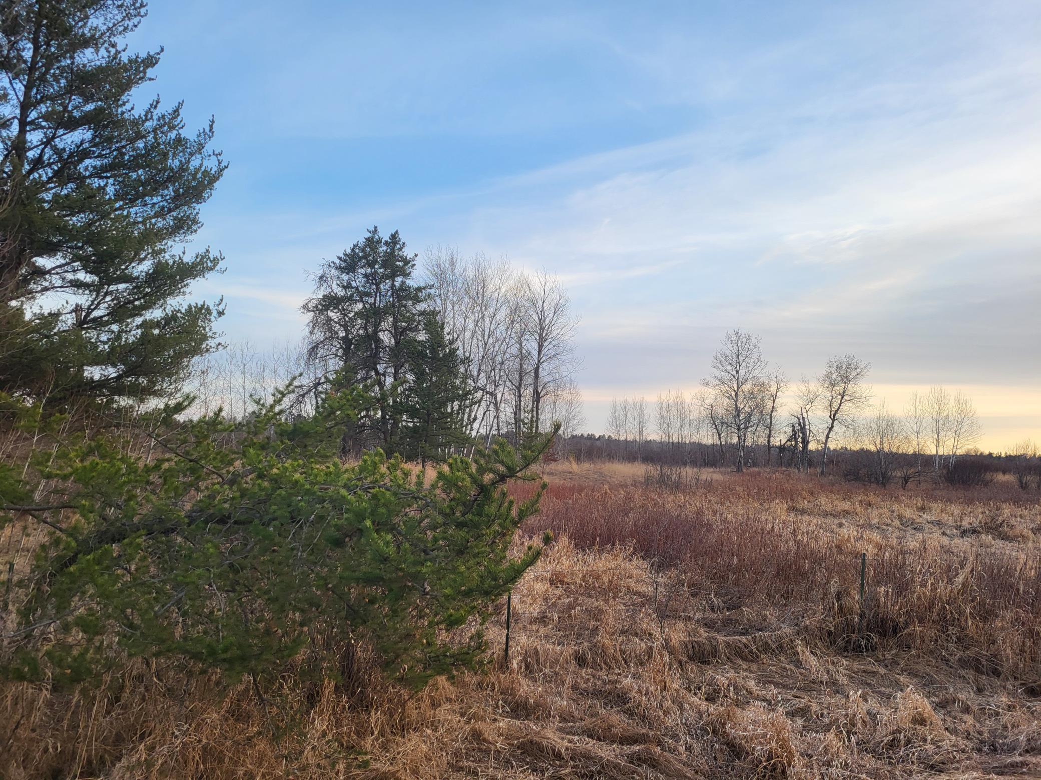 79.61 Acres 83rd Ave Sw, Verndale, Minnesota image 8
