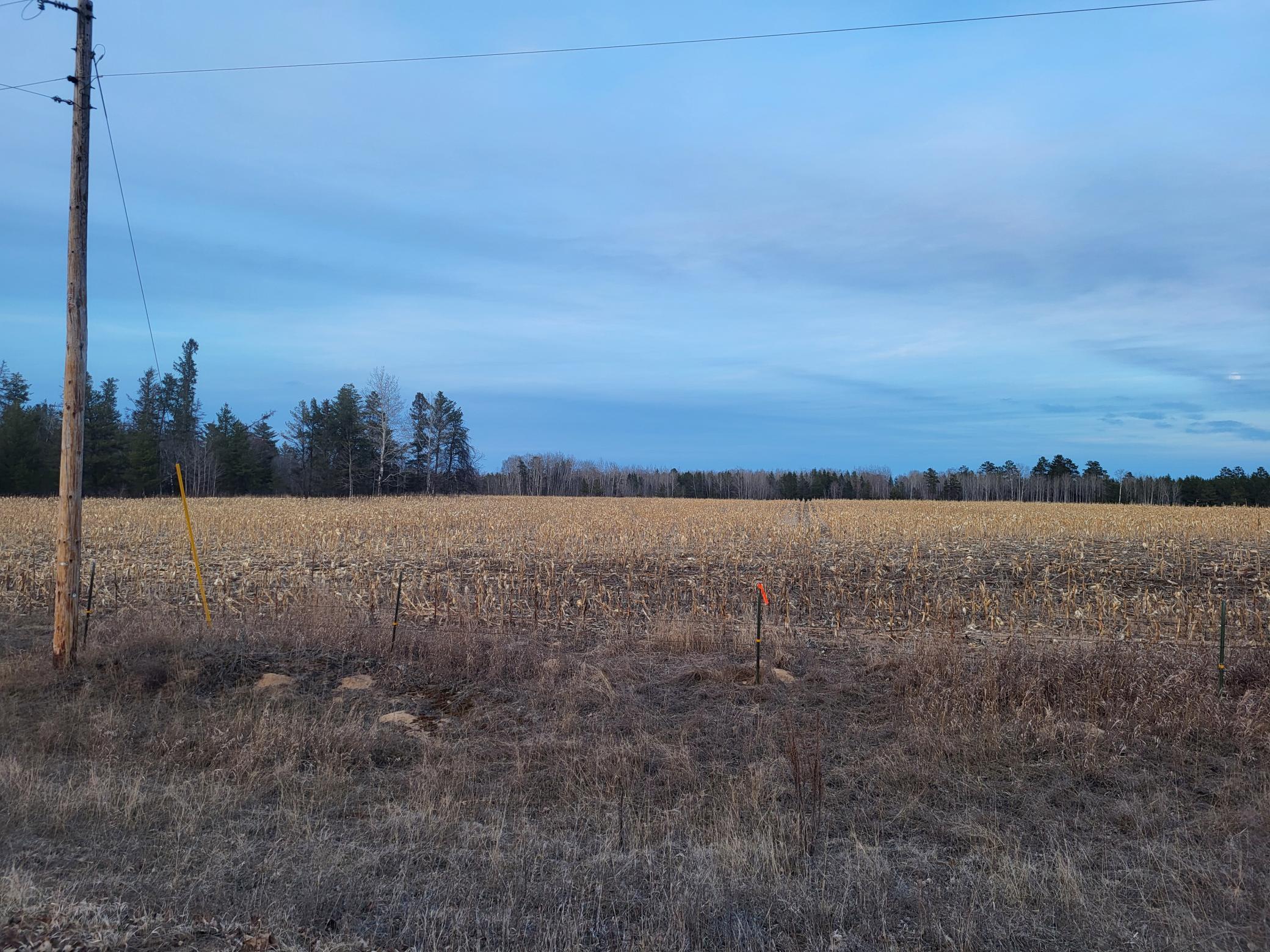 79.61 Acres 83rd Ave Sw, Verndale, Minnesota image 23