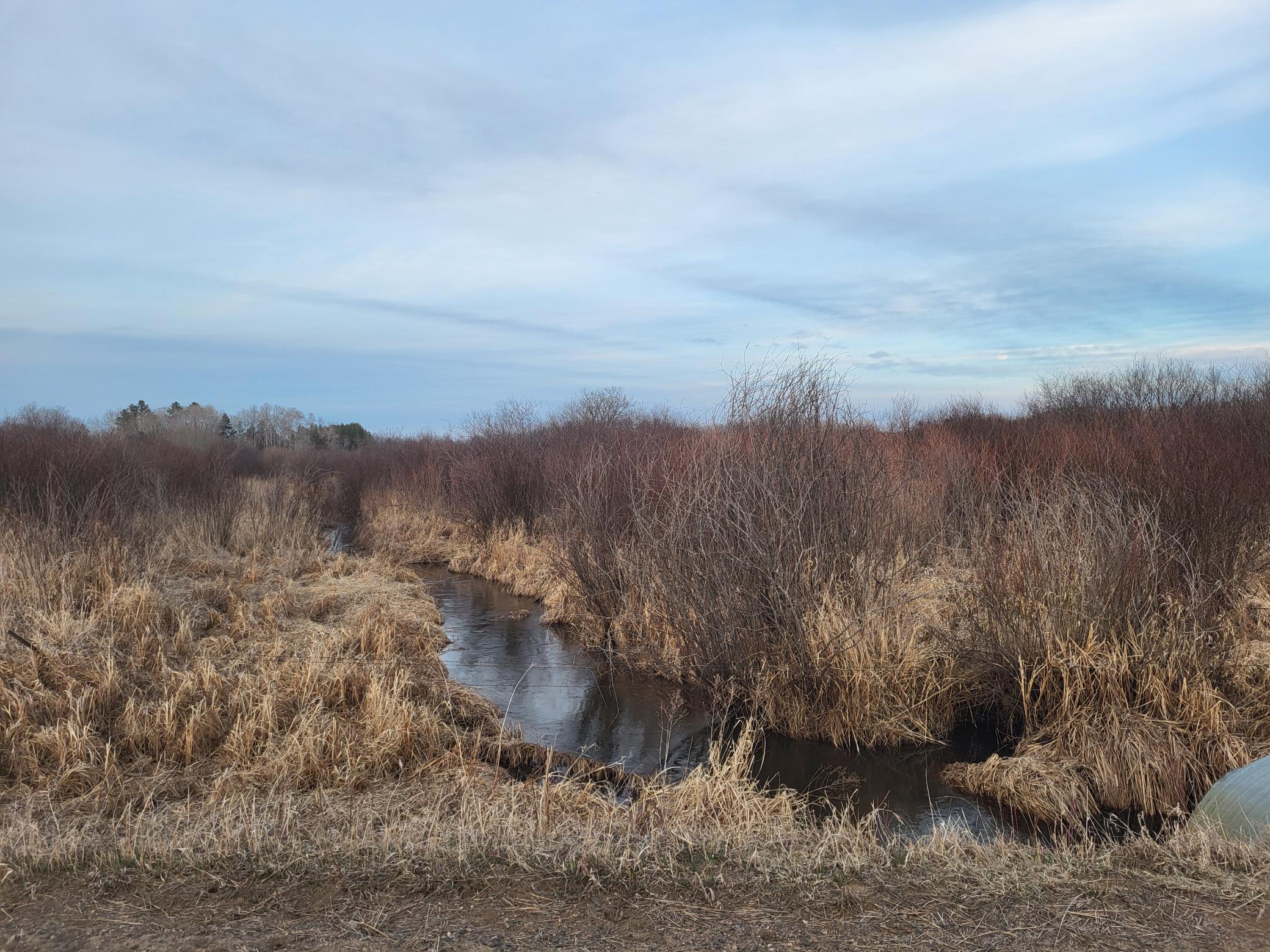 79.61 Acres 83rd Ave Sw, Verndale, Minnesota image 4