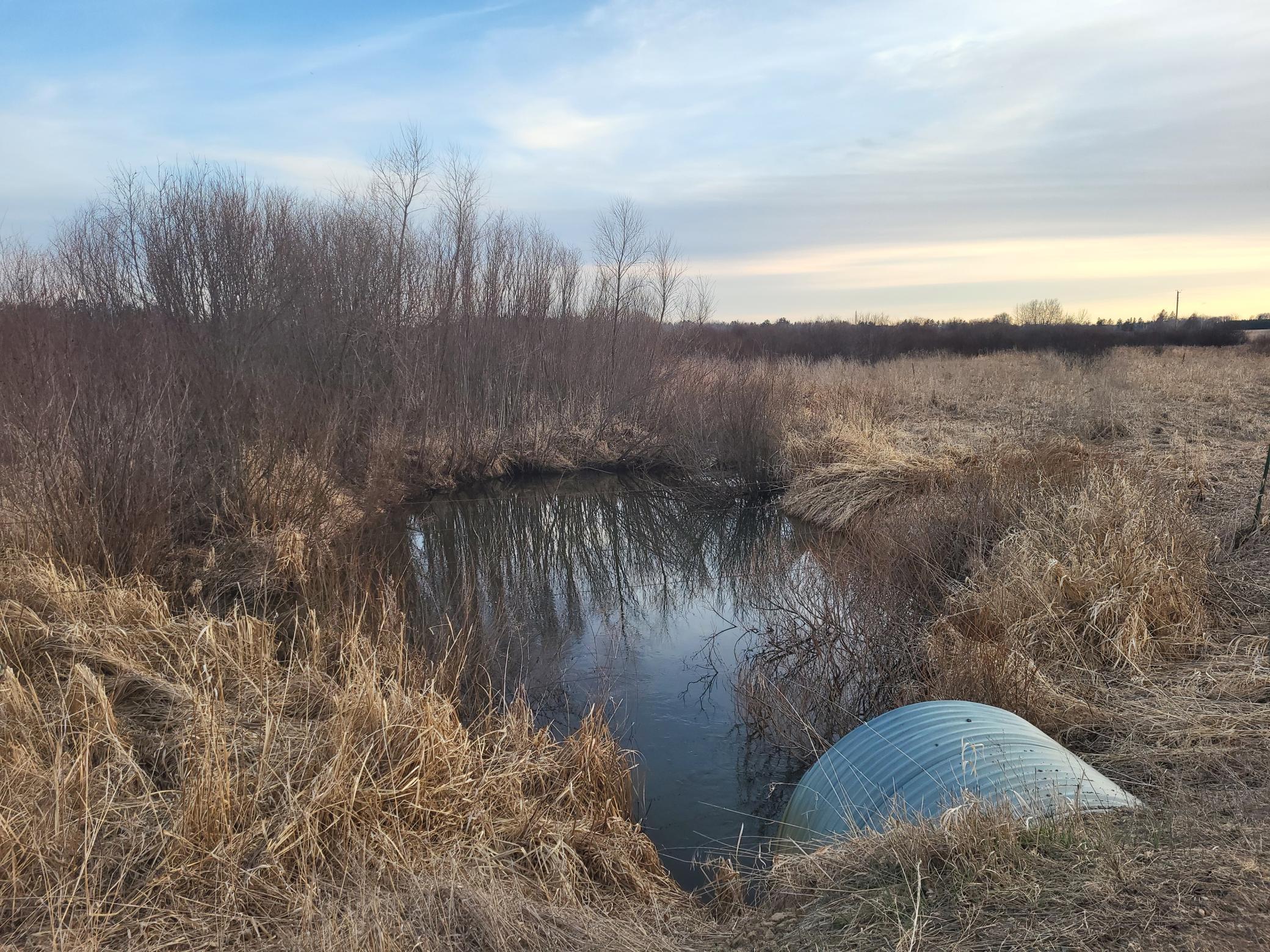 79.61 Acres 83rd Ave Sw, Verndale, Minnesota image 2
